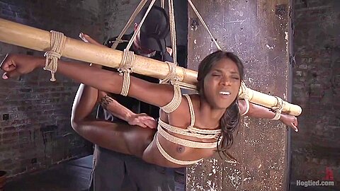 Black Pussy Toyed